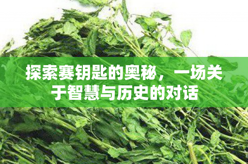 探索赛钥匙的奥秘，一场关于智慧与历史的对话