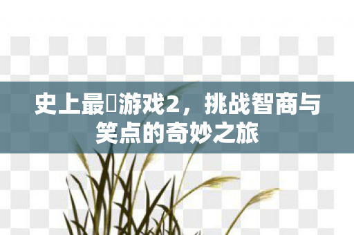 史上最囧游戏2，挑战智商与笑点的奇妙之旅