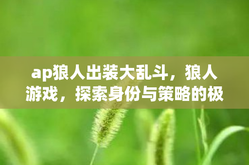 ap狼人出装大乱斗，狼人游戏，探索身份与策略的极致