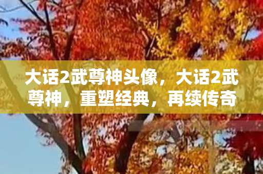 大话2武尊神头像，大话2武尊神，重塑经典，再续传奇