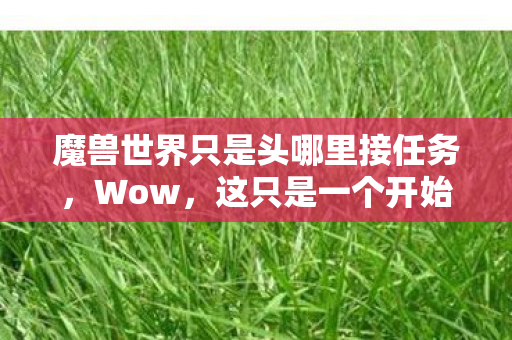 魔兽世界只是头哪里接任务，Wow，这只是一个开始