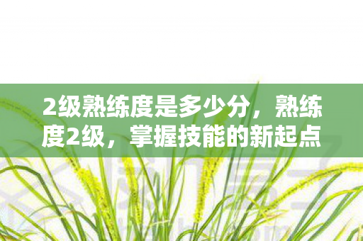 2级熟练度是多少分，熟练度2级，掌握技能的新起点