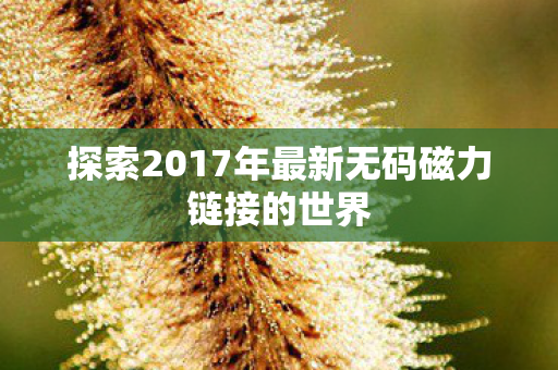 探索2017年最新无码磁力链接的世界