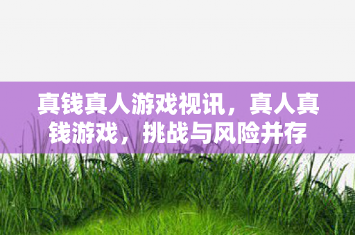 真钱真人游戏视讯，真人真钱游戏，挑战与风险并存