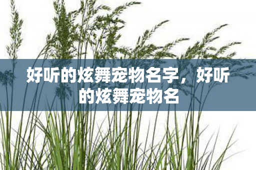 好听的炫舞宠物名字，好听的炫舞宠物名