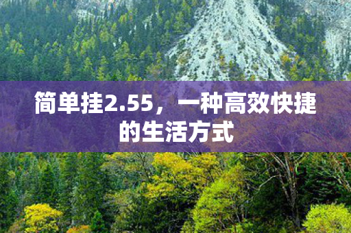 简单挂2.55,一种高效快捷的生活方式 简单挂2.55,一种高效快捷的生活方式
