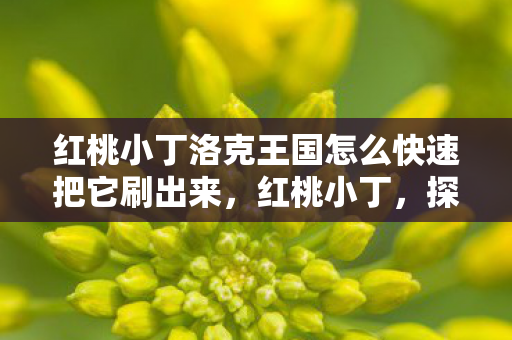 红桃小丁洛克王国怎么快速把它刷出来,红桃小丁,探寻生活中的小确幸 红桃小丁洛克王国怎么快速把它刷出来,红桃小丁,探寻生活中的小确幸