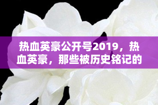 热血英豪公开号2019，热血英豪，那些被历史铭记的公号