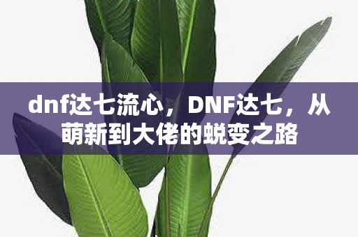 dnf达七流心，DNF达七，从萌新到大佬的蜕变之路