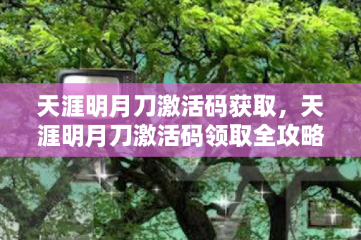 天涯明月刀激活码获取，天涯明月刀激活码领取全攻略，轻松获取，畅享江湖之旅