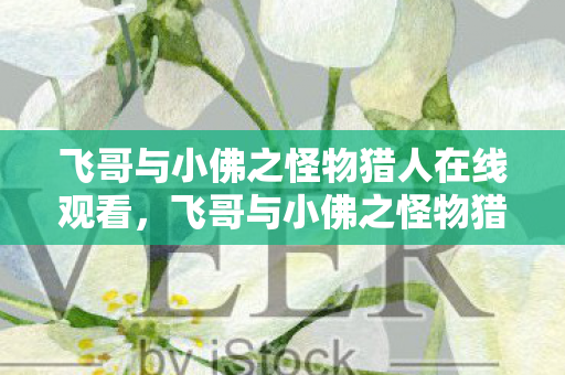 飞哥与小佛之怪物猎人在线观看，飞哥与小佛之怪物猎人