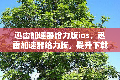 迅雷加速器给力版ios,迅雷加速器给力版,提升下载速度,畅享高速网络体验 迅雷加速器给力版ios,迅雷加速器给力版,提升下载速度,畅享高速网络体验