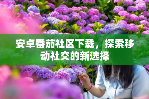 安卓番茄社区下载，探索移动社交的新选择