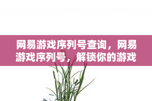 网易游戏序列号查询，网易游戏序列号，解锁你的游戏新世界