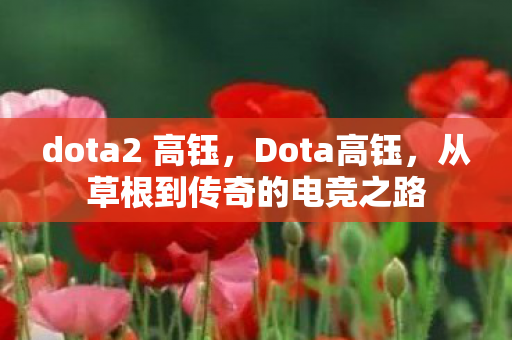 dota2 高钰，Dota高钰，从草根到传奇的电竞之路