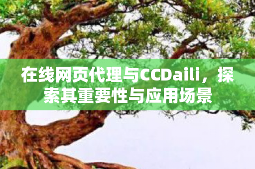 在线网页代理与CCDaili,探索其重要性与应用场景 在线网页代理与CCDaili,探索其重要性与应用场景