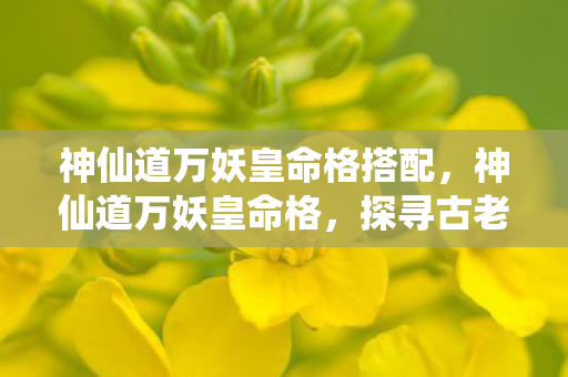 神仙道万妖皇命格搭配，神仙道万妖皇命格，探寻古老传说中的神秘力量