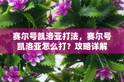 赛尔号凯洛亚打法，赛尔号凯洛亚怎么打？攻略详解