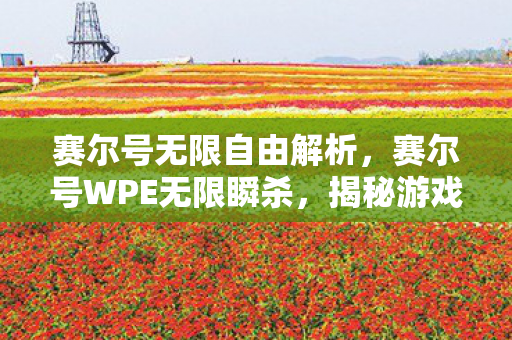 赛尔号无限自由解析，赛尔号WPE无限瞬杀，揭秘游戏内挂背后的真相