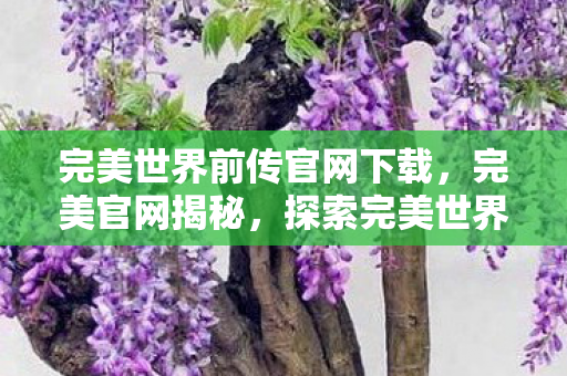 完美世界前传官网下载，完美官网揭秘，探索完美世界的前传故事
