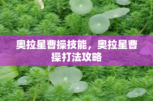 奥拉星曹操技能，奥拉星曹操打法攻略