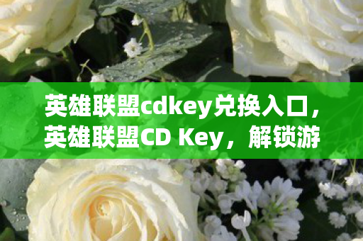 英雄联盟cdkey兑换入口，英雄联盟CD Key，解锁游戏世界的神秘钥匙