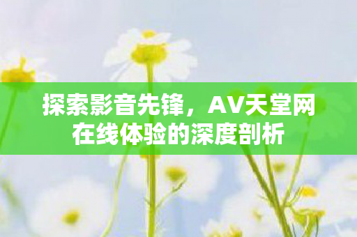 探索影音先锋，AV天堂网在线体验的深度剖析