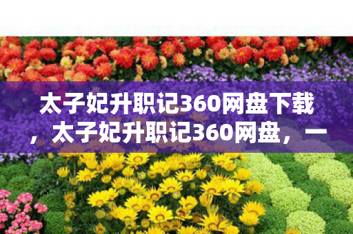 太子妃升职记360网盘下载，太子妃升职记360网盘，一段传奇故事的延续