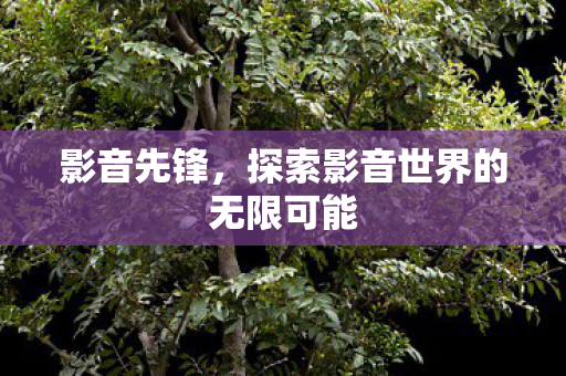 影音先锋，探索影音世界的无限可能