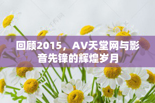 回顾2015，AV天堂网与影音先锋的辉煌岁月
