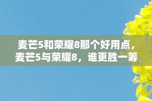 麦芒5和荣耀8那个好用点，麦芒5与荣耀8，谁更胜一筹？