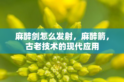 麻醉剑怎么发射，麻醉箭，古老技术的现代应用