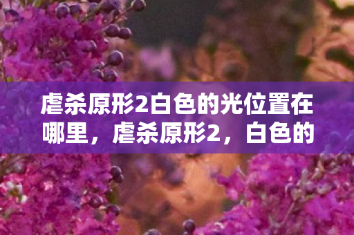 虐杀原形2白色的光位置在哪里，虐杀原形2，白色的光—超越极限的进化之旅
