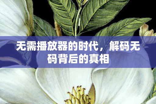 无需播放器的时代，解码无码背后的真相