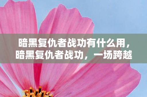 暗黑复仇者战功有什么用,暗黑复仇者战功,一场跨越时空的复仇之战 暗黑复仇者战功有什么用,暗黑复仇者战功,一场跨越时空的复仇之战