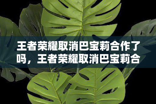 王者荣耀取消巴宝莉合作了吗，王者荣耀取消巴宝莉合作，一场品牌与游戏的跨界风波