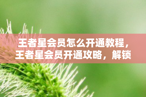 王者星会员怎么开通教程,王者星会员开通攻略,解锁荣耀特权,畅享游戏盛宴 王者星会员怎么开通教程,王者星会员开通攻略,解锁荣耀特权,畅享游戏盛宴