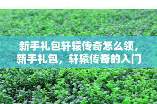 新手礼包轩辕传奇怎么领,新手礼包,轩辕传奇的入门指南 新手礼包轩辕传奇怎么领,新手礼包,轩辕传奇的入门指南