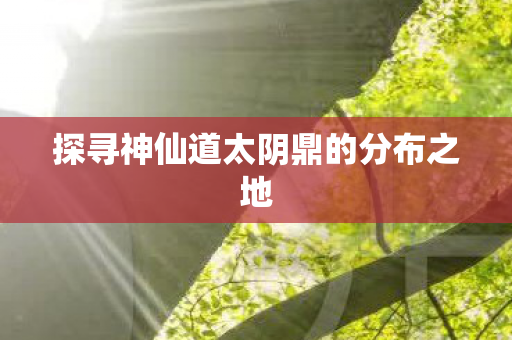 探寻神仙道太阴鼎的分布之地 探寻神仙道太阴鼎的分布之地