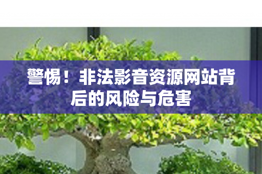 警惕！非法影音资源网站背后的风险与危害