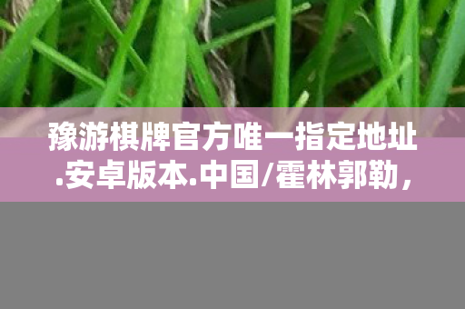 豫游棋牌官方唯一指定地址.安卓版本.中国/霍林郭勒，豫游棋牌，线上棋牌的娱乐新选择