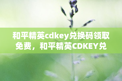 和平精英cdkey兑换码领取免费，和平精英CDKEY兑换码领取攻略，2020最新指南