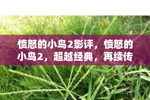愤怒的小鸟2影评，愤怒的小鸟2，超越经典，再续传奇