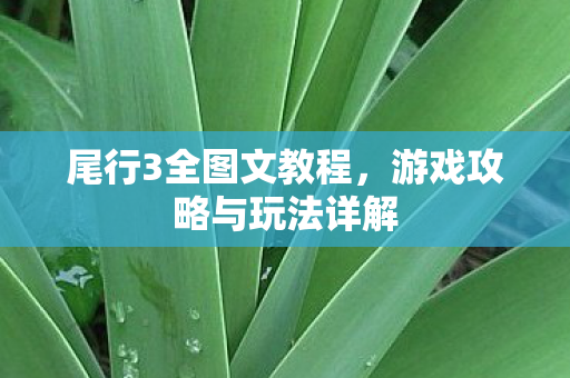 尾行3全图文教程，游戏攻略与玩法详解