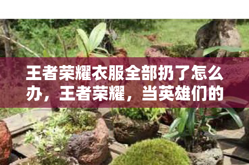 王者荣耀衣服全部扔了怎么办，王者荣耀，当英雄们的衣物不再束缚，一场虚拟与现实的交织盛宴