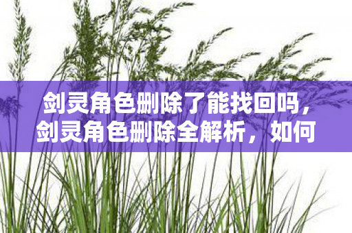 剑灵角色删除了能找回吗，剑灵角色删除全解析，如何安全、高效地删除你的角色