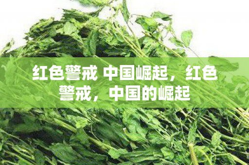 红色警戒 中国崛起，红色警戒，中国的崛起