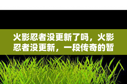 火影忍者没更新了吗，火影忍者没更新，一段传奇的暂停