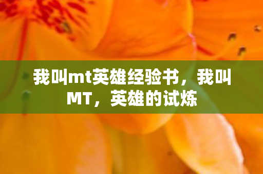 我叫mt英雄经验书，我叫MT，英雄的试炼