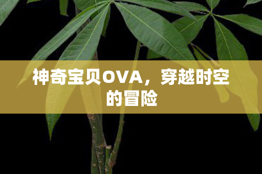 神奇宝贝OVA，穿越时空的冒险